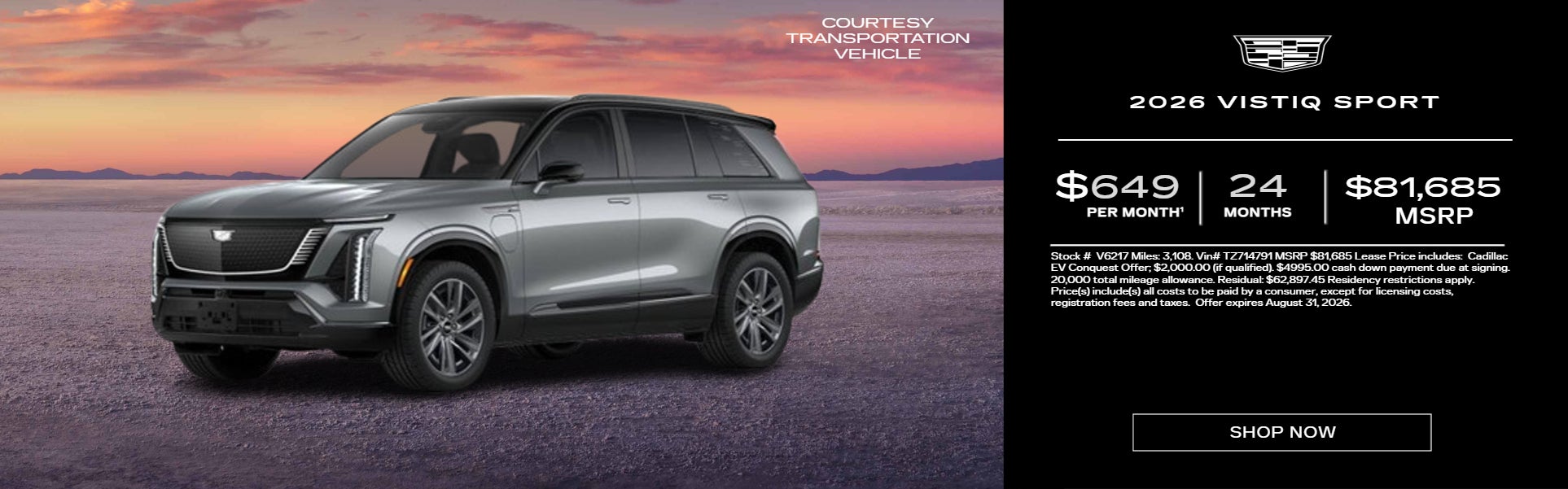 GRAY 2026 Vistiq SPORT